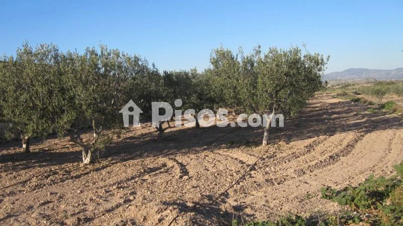 Terreno en venta en La Pedrera