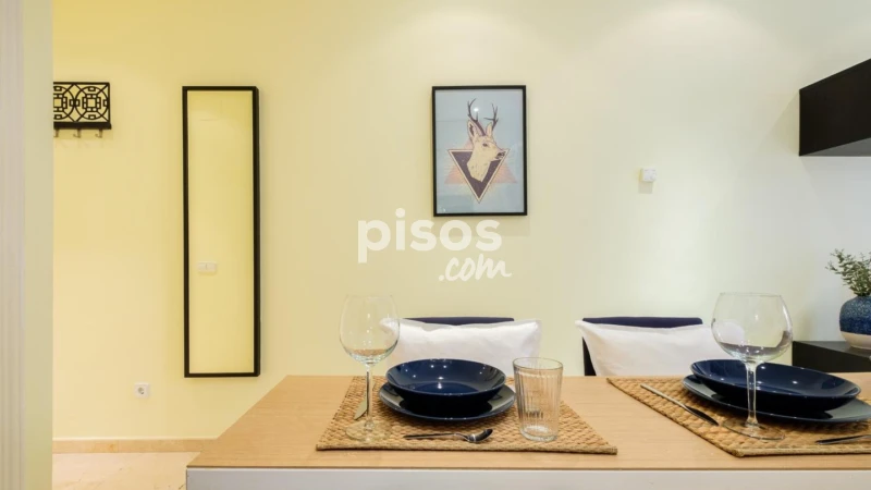 Piso en alquiler en Malasaña