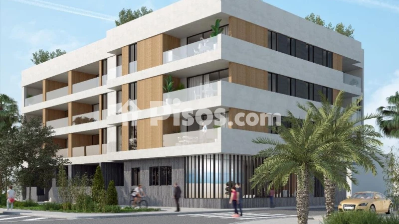 Pis – Elche, la Barrera, la Baia