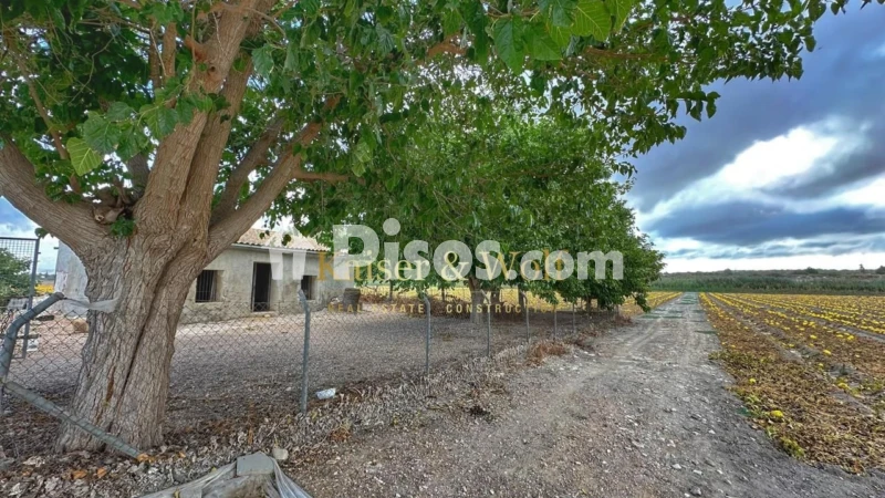 Casa – Elx - Elche