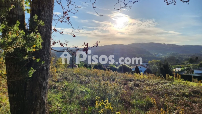 Terreno en venta en Calle Burricios, Número 6