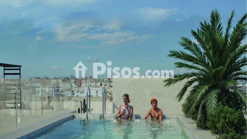 Pis – Torrevieja