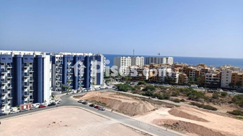 Pis – Torrevieja