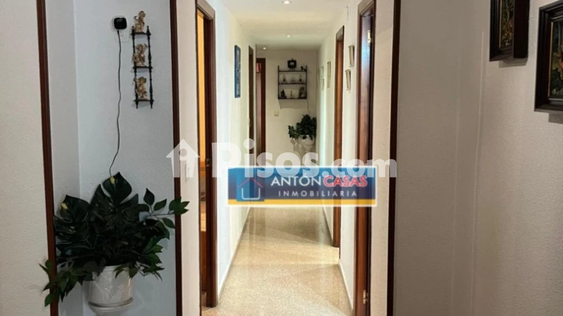 Piso – Alicante - Alacant