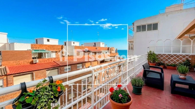 Pis – Alicante, el Raval Roig, l'Alacantí