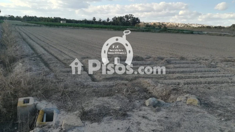 Terreno en venta en Crta Guardamar