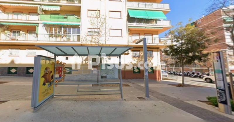 Pis – Alicante - Alacant
