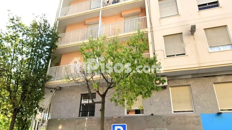 Pis – Elx - Elche