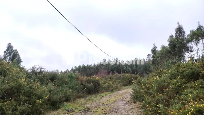 Terreno en venta en Calle 16. Parcela
