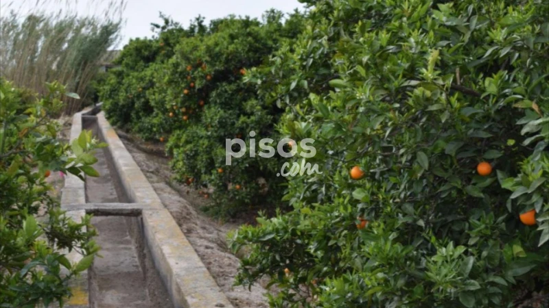 Finca rústica en venta en Carcaixent, Carcaixent de 87.000 €