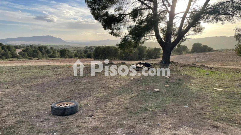 Finca rústica en venta en La Milagrosa, Albacete Capital