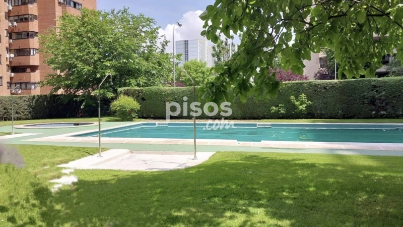 Piso en alquiler en Calle de Pedro Rico