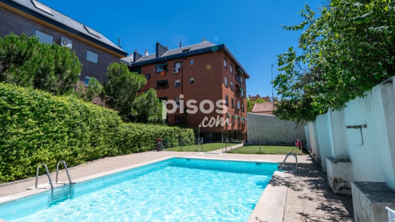 Piso en alquiler en Calle de Angelita Cavero