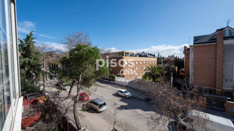 Piso en alquiler en Calle de Amara