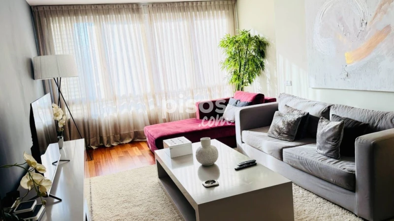 Apartamento en alquiler en Calle de Juan Ramón Jiménez