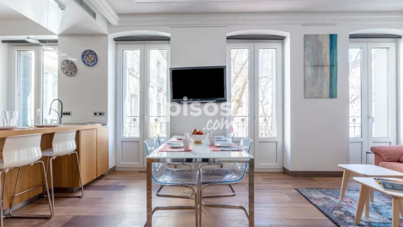 Piso en alquiler en Calle del Duque de Alba