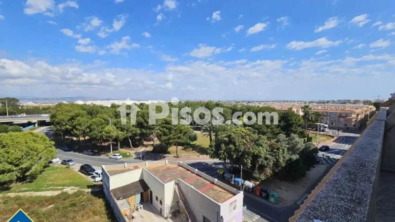 Pis – Torrevieja, San Roque