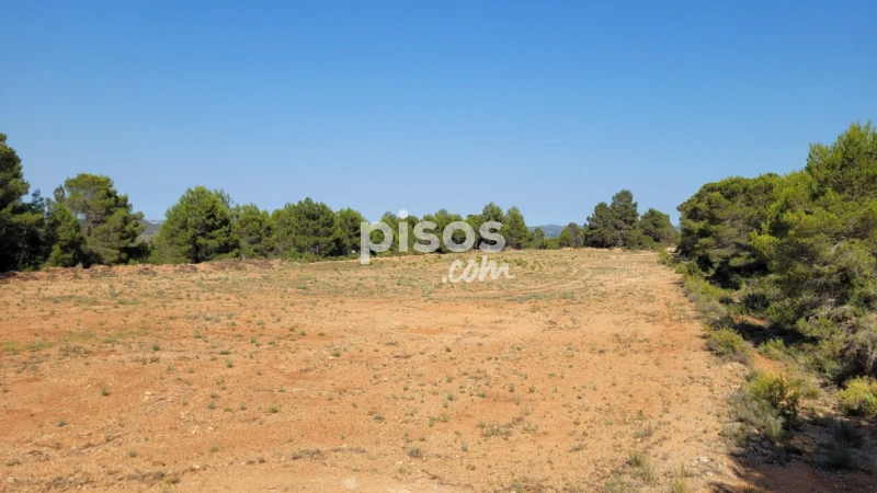 Land for sale in Turís, Turís of 16.500 €