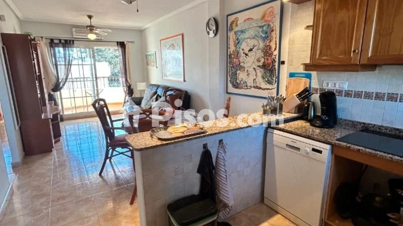 Piso – Orihuela, Villa Martín