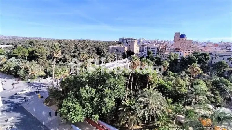 Pis – Elx - Elche