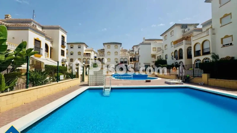 Pis – Torrevieja