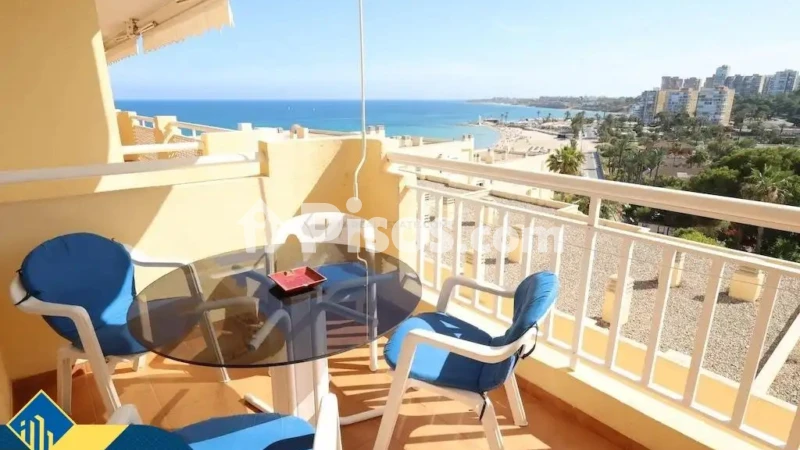 Piso – Orihuela