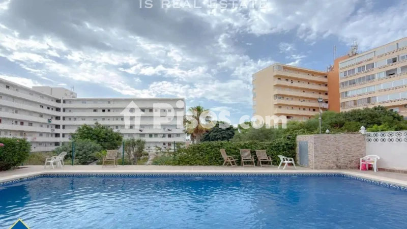 Pis – Torrevieja, Torreblanca, La Mata