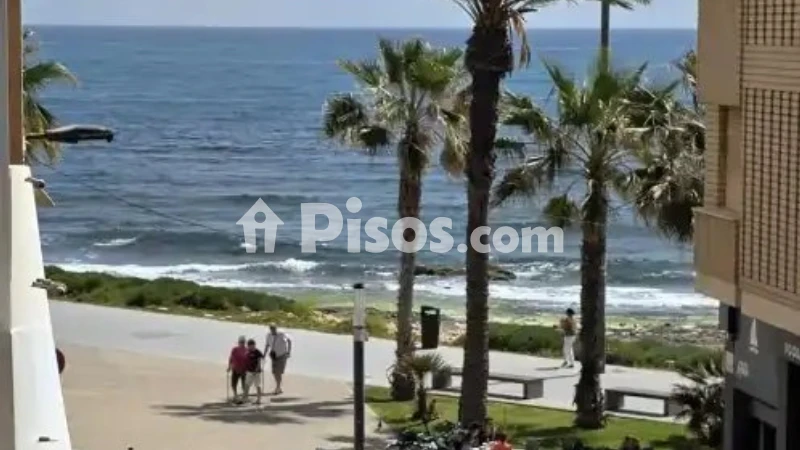 Pis – Torrevieja