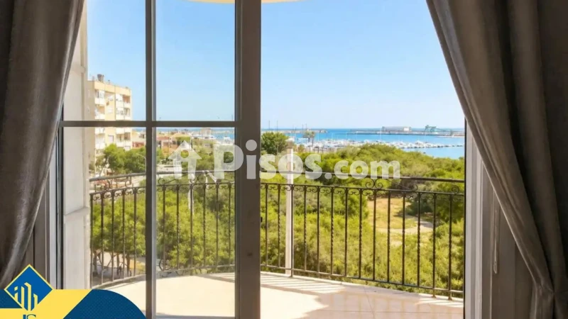 Pis – Torrevieja