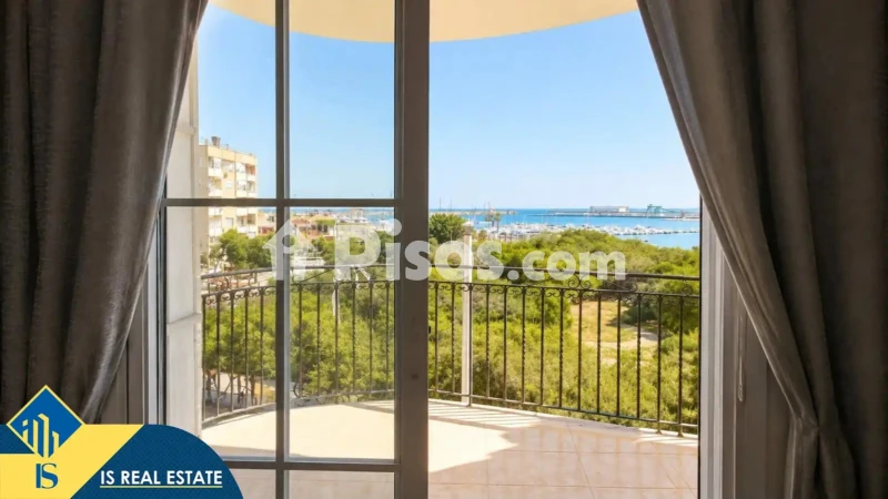 Pis – Torrevieja