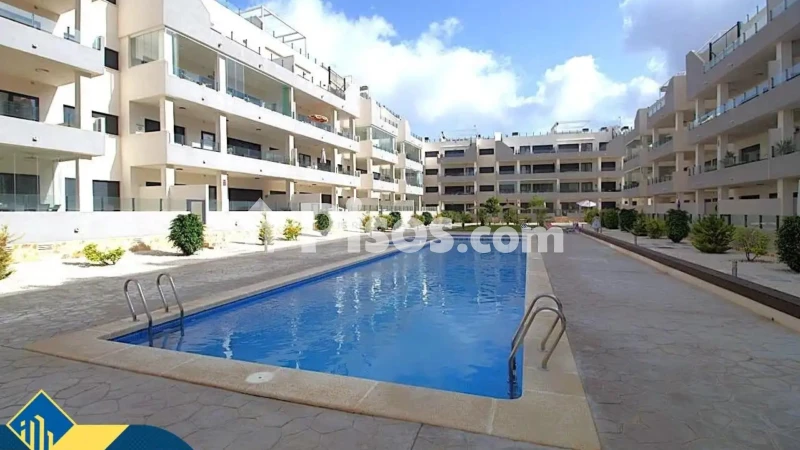 Pis – Orihuela