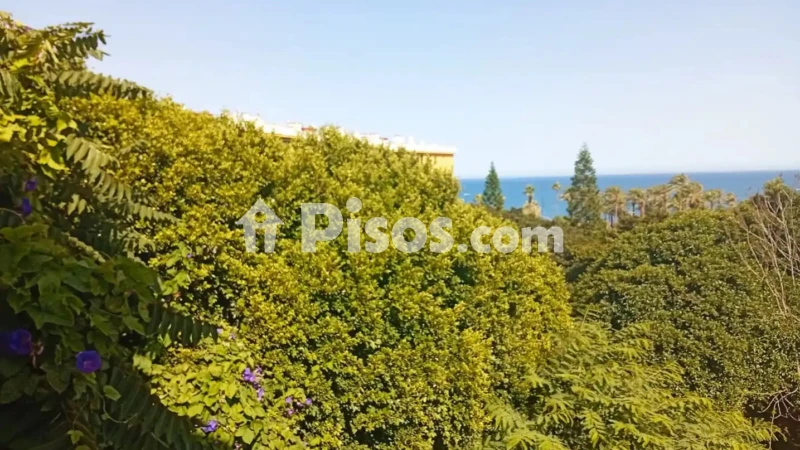 Fotografía del inmueble reportado: 1.500 €/mes — Málaga, Málaga