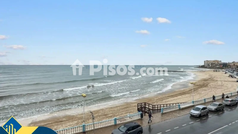 Pis – Torrevieja