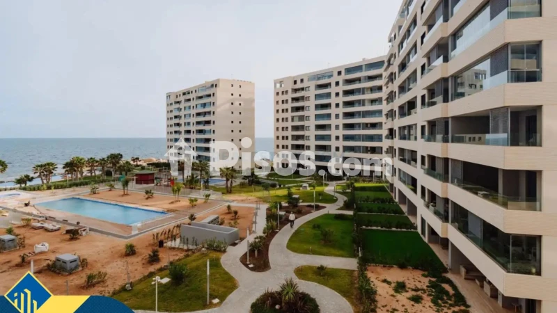Pis – Orihuela