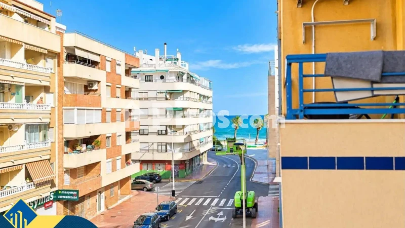 Pis – Torrevieja