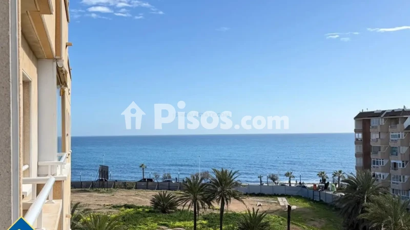 Pis – Torrevieja
