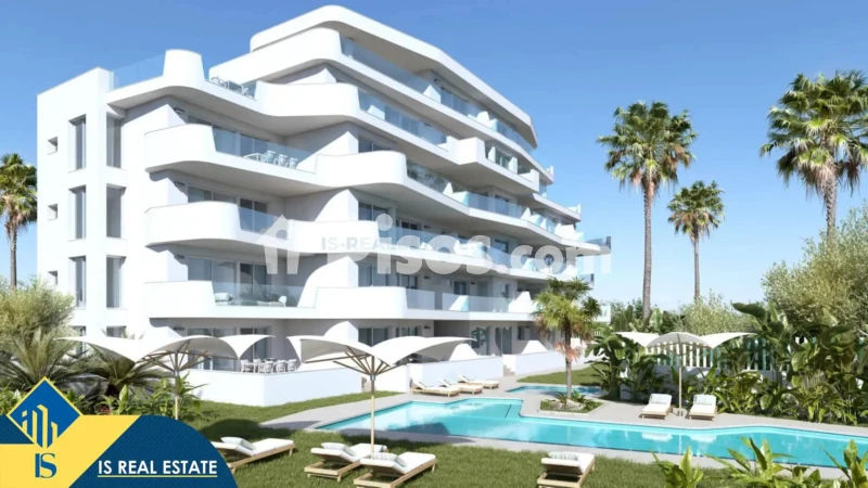 Pis – Torrevieja