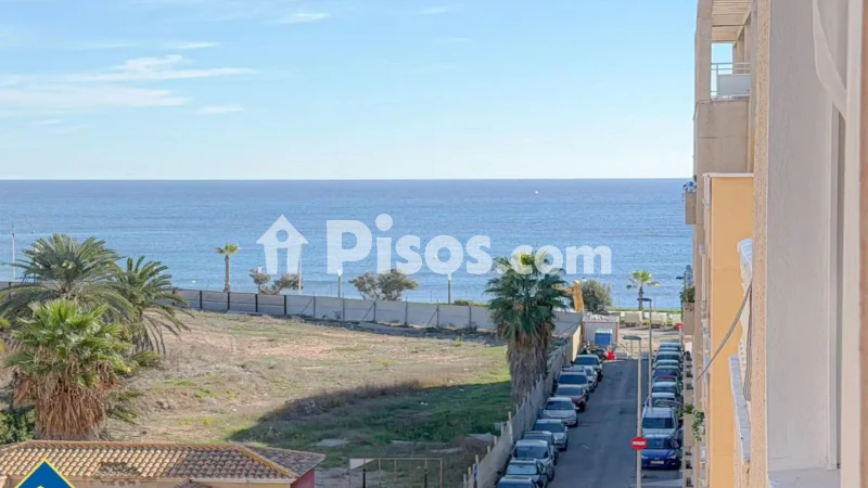 Pis – Torrevieja, El Palmeral