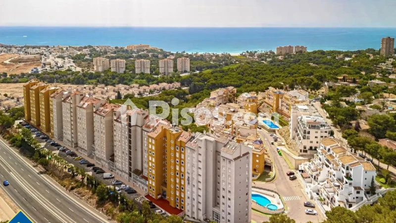 Pis – Orihuela, El Pinar de Campoamor, Dehesa de Campoamor