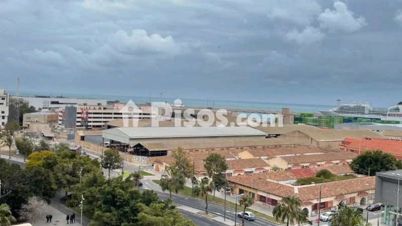 Pis – Alicante - Alacant