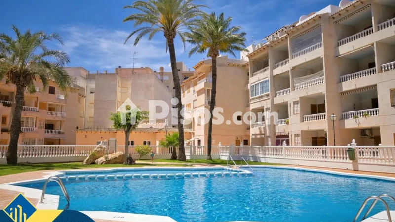 Pis – Torrevieja