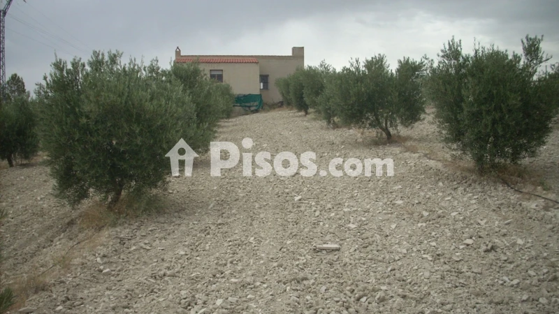 Terreno en venta en Calle Calle Camino Collado
