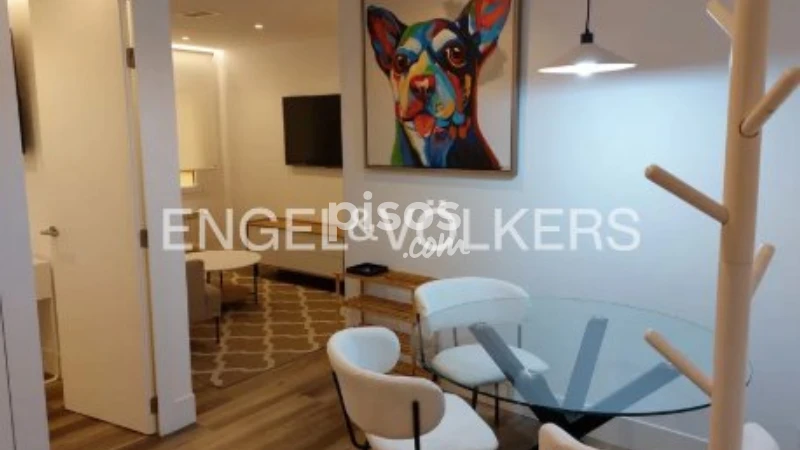 Apartamento en alquiler en Palacio