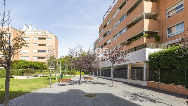 Piso en alquiler en Paseo de la Alameda de Osuna