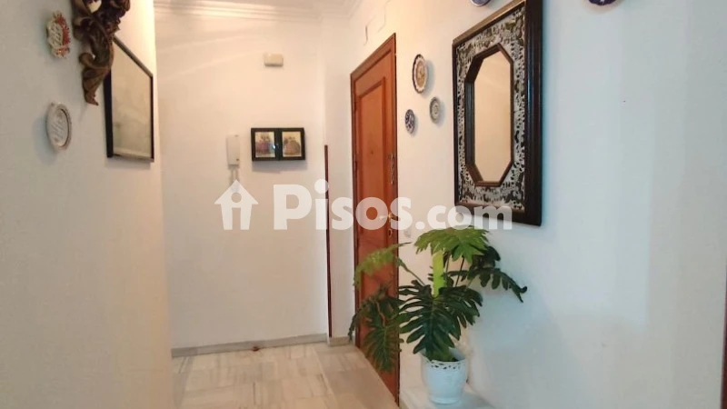 Fotografía del inmueble reportado: 900 €/mes — Cádiz, Cádiz