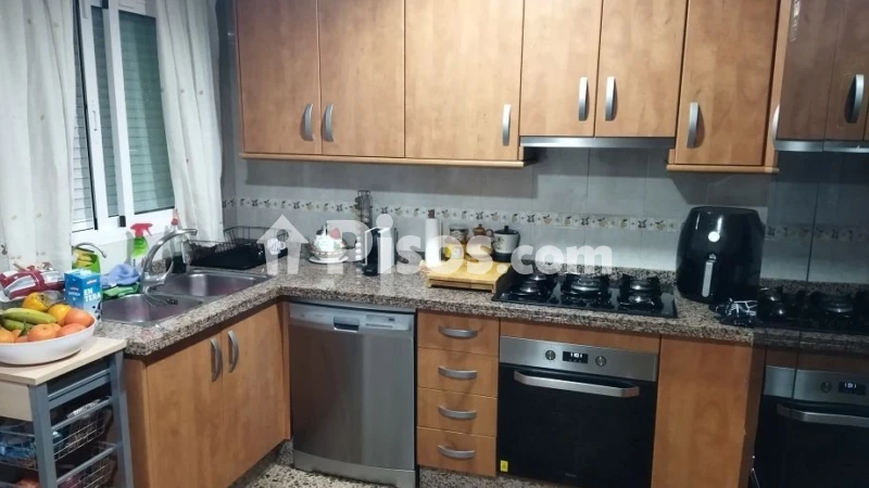 Pis – Elx / Elche, el Baix Vinalopó