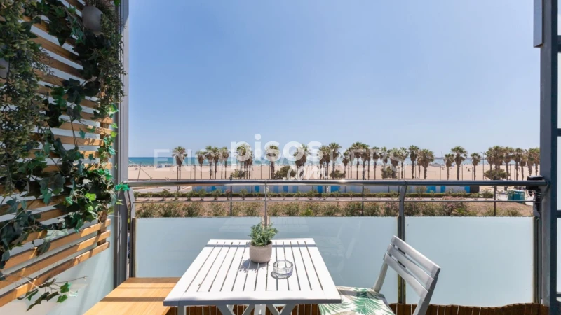 Piso en alquiler en Calle C. José Ballester Gozalvo