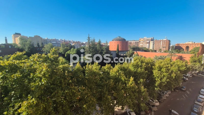 Piso en alquiler en Calle del Museo, Pardaleras (Badajoz Capital) de 725 €<span>/mes</span>