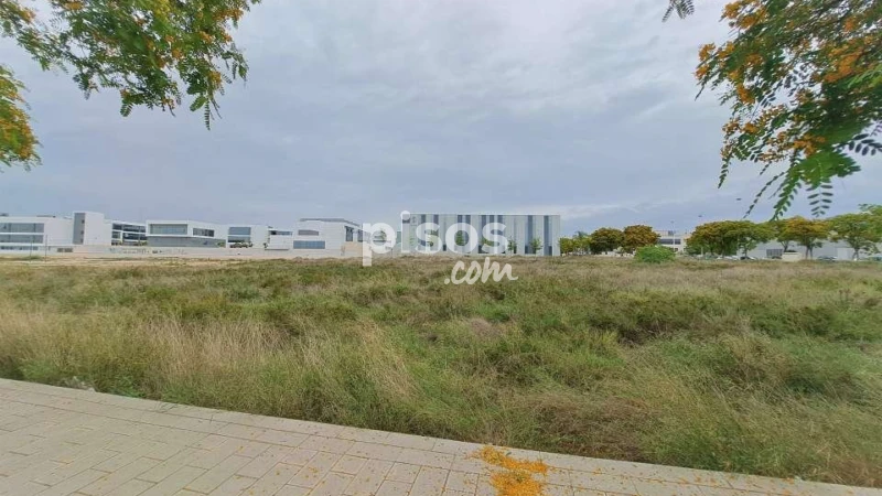 Terreno en venta en Calle de Galileo Galilei, Torrellano-Valverde-Parc Empresarial (Elx - Elche) de 1.573.100 €