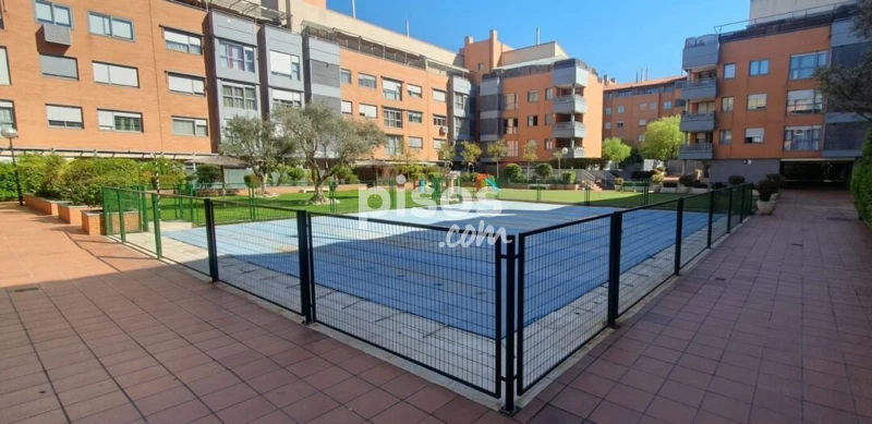 Piso en alquiler en Calle de Pirra